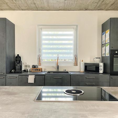 Ferienwohnung Hegau Bodensee Rielasingen-Worblingen Kültér fotó