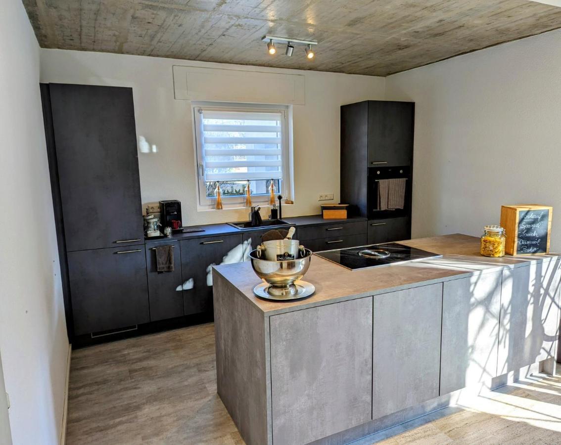 Ferienwohnung Hegau Bodensee Rielasingen-Worblingen Kültér fotó